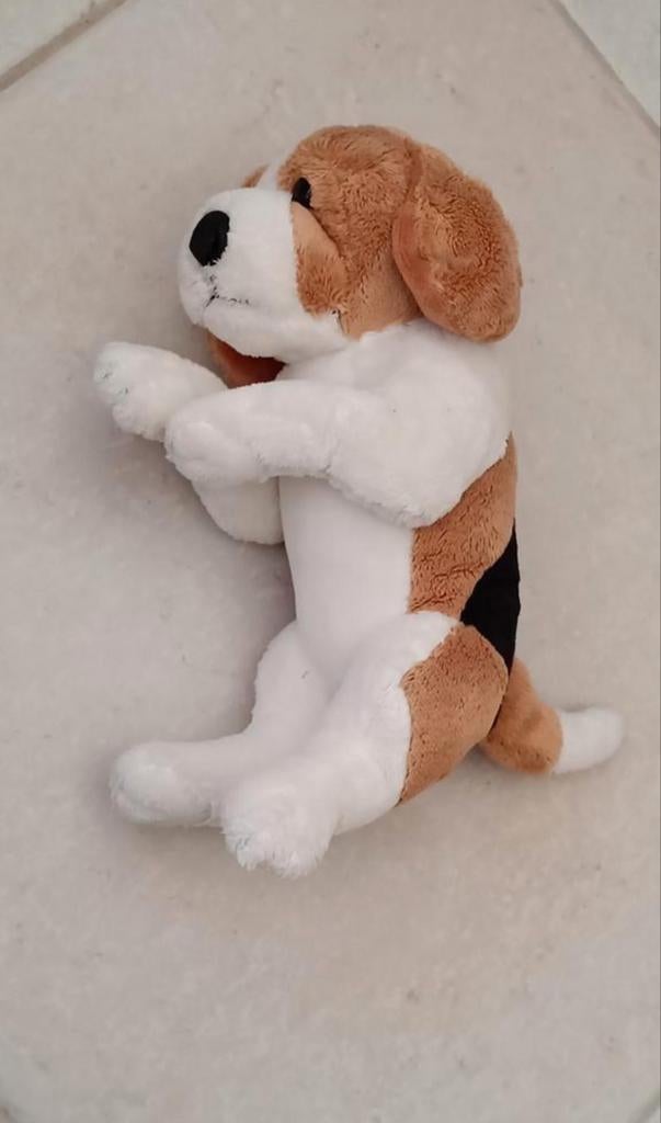 Knuffel hond, Enlèvement ou Envoi, Chien
