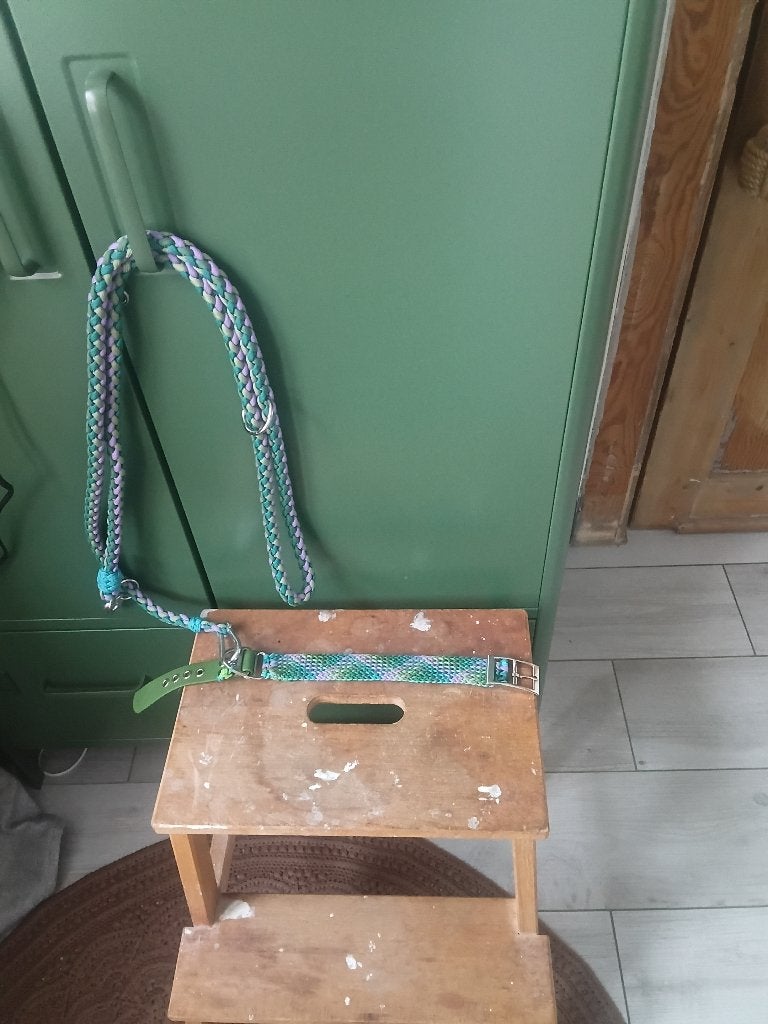 Hals- en leiband hond, Animaux & Accessoires, Laisses pour chiens, Enlèvement, Neuf, Accessoires pour laisse pour chien