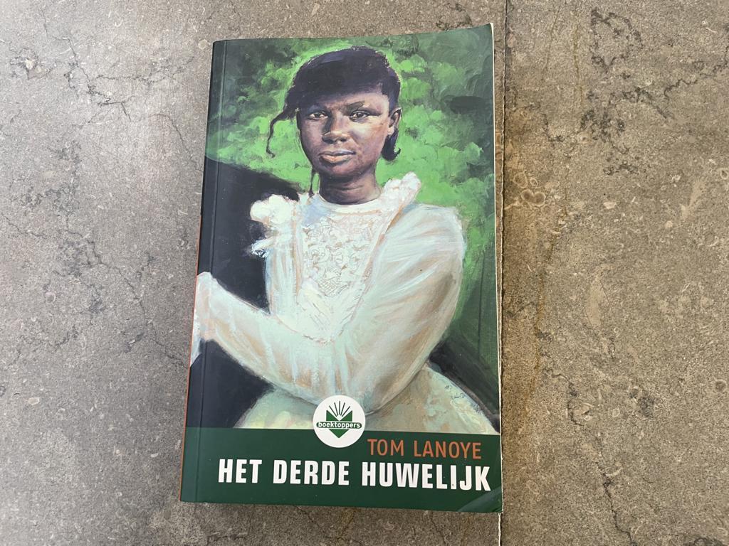 Tom Lanoye Het derde huwelijk, Boeken, Romans, België, Ophalen of Verzenden