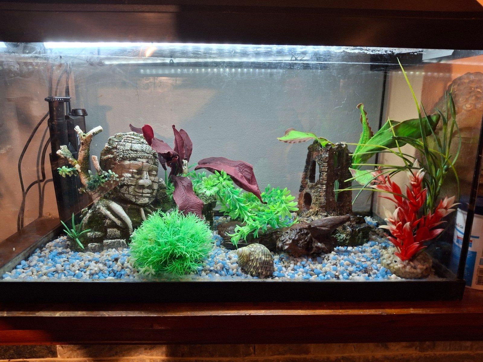 Aquarium complet, Enlèvement