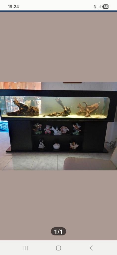 Aquarium, Dieren en Toebehoren, Vissen | Aquaria en Toebehoren, Ophalen