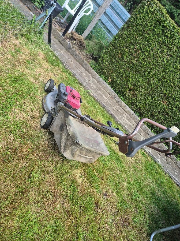 Tondeuse, HONDA, Tondeuse rotative, Tondeuses à gazon à essence, Utilisé