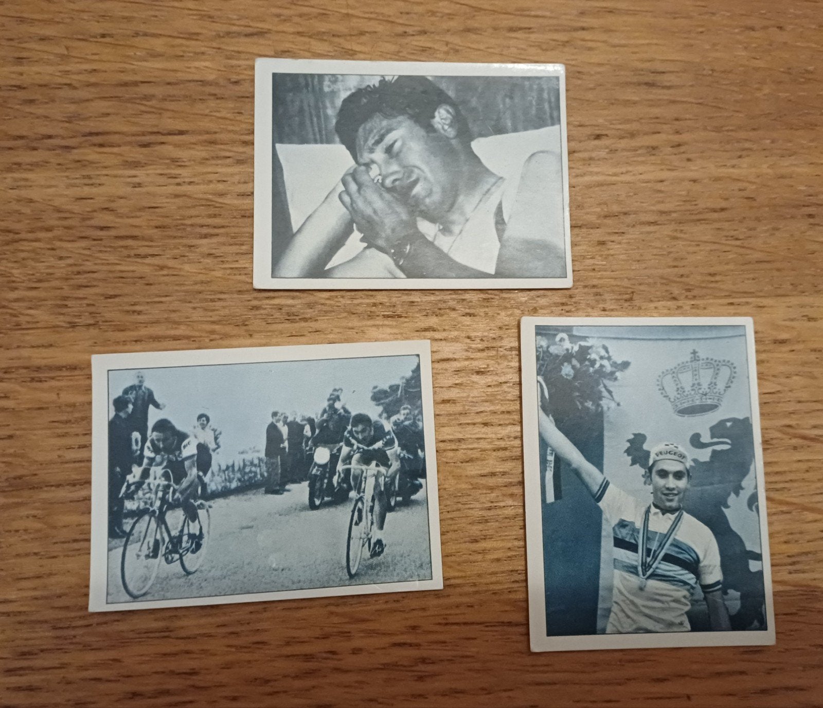 Panini Sprint 74 Merckx stickers, Ophalen of Verzenden