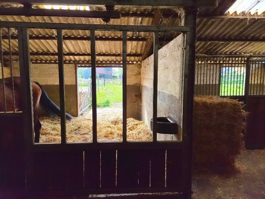 stal vrij in vol pension, Dieren en Toebehoren, Stalling, 2 of 3 paarden of pony's