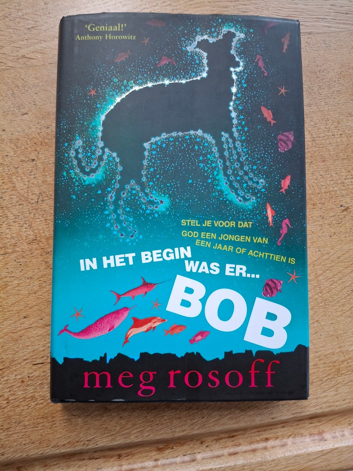 Boek ´In het begin was er Bob´ door Meg Rosoff, Boeken, Fantasy, Ophalen of Verzenden