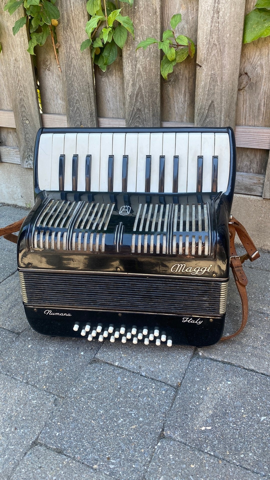 Maggi Numana vintage accordeon., Ophalen of Verzenden, Gebruikt, Overige merken, Met riemen