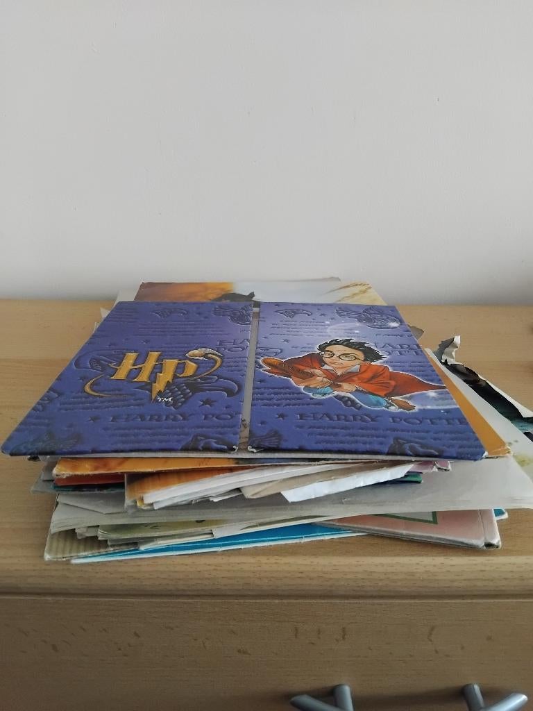Mega-set Briefpapier & Enveloppen – Harry Potter, Paarden, Diversen, Schrijfwaren, Ophalen, Gebruikt