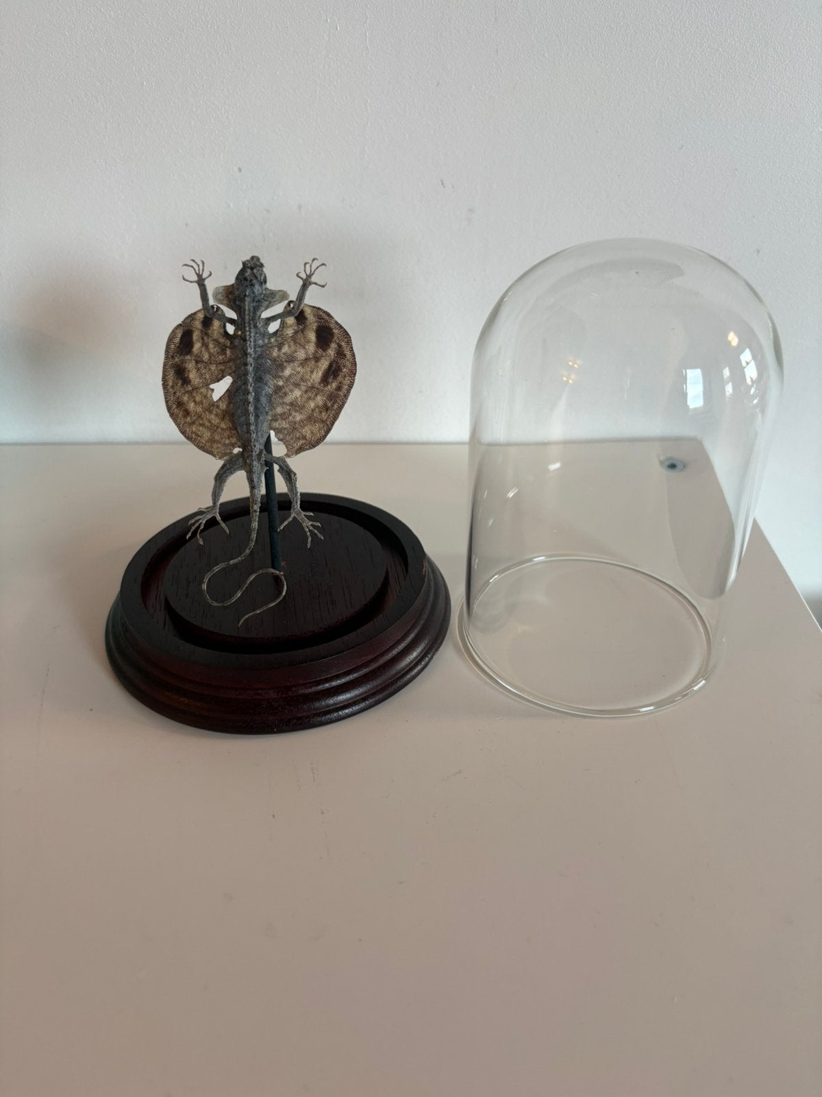 Cabine de curiosité, Huis en Inrichting, Ophalen, 14 cm, Zo goed als nieuw, Handgemaakt