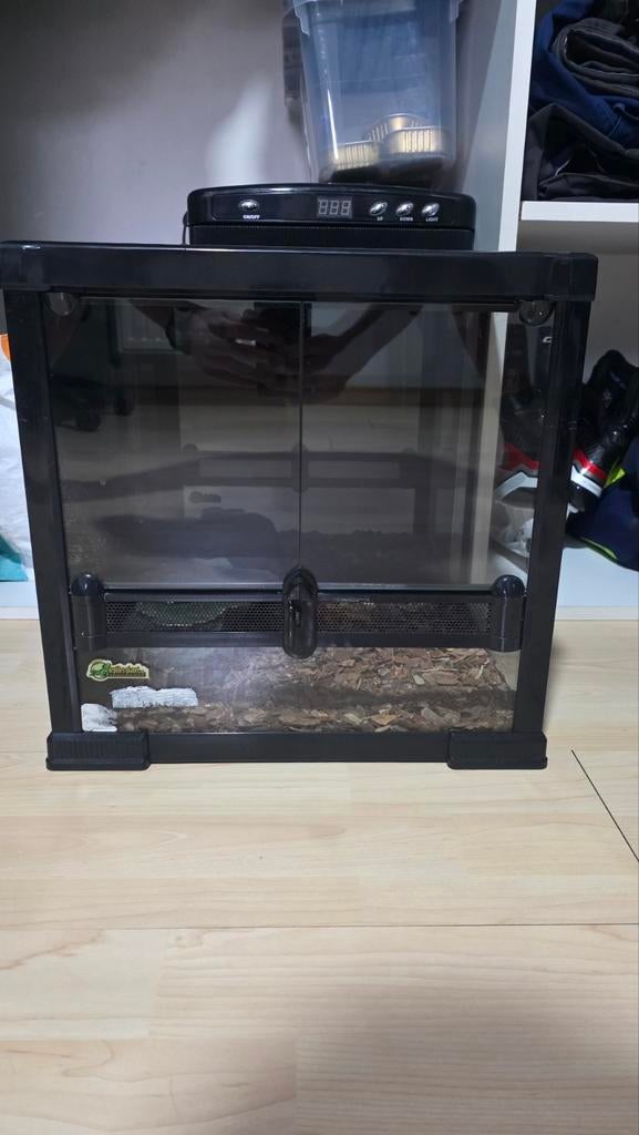 Terrarium