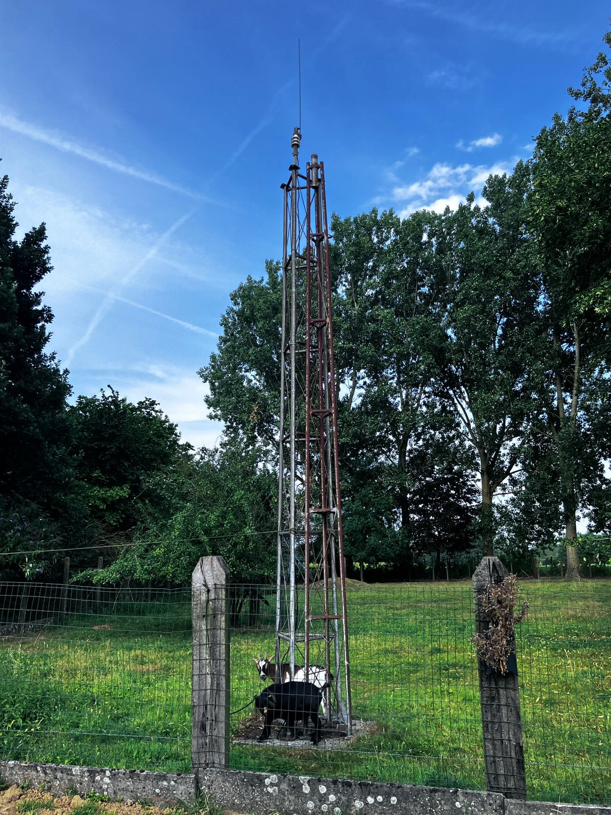 Antennemast, Telecommunicatie, Antennes en Masten, Ophalen, Gebruikt, Mast