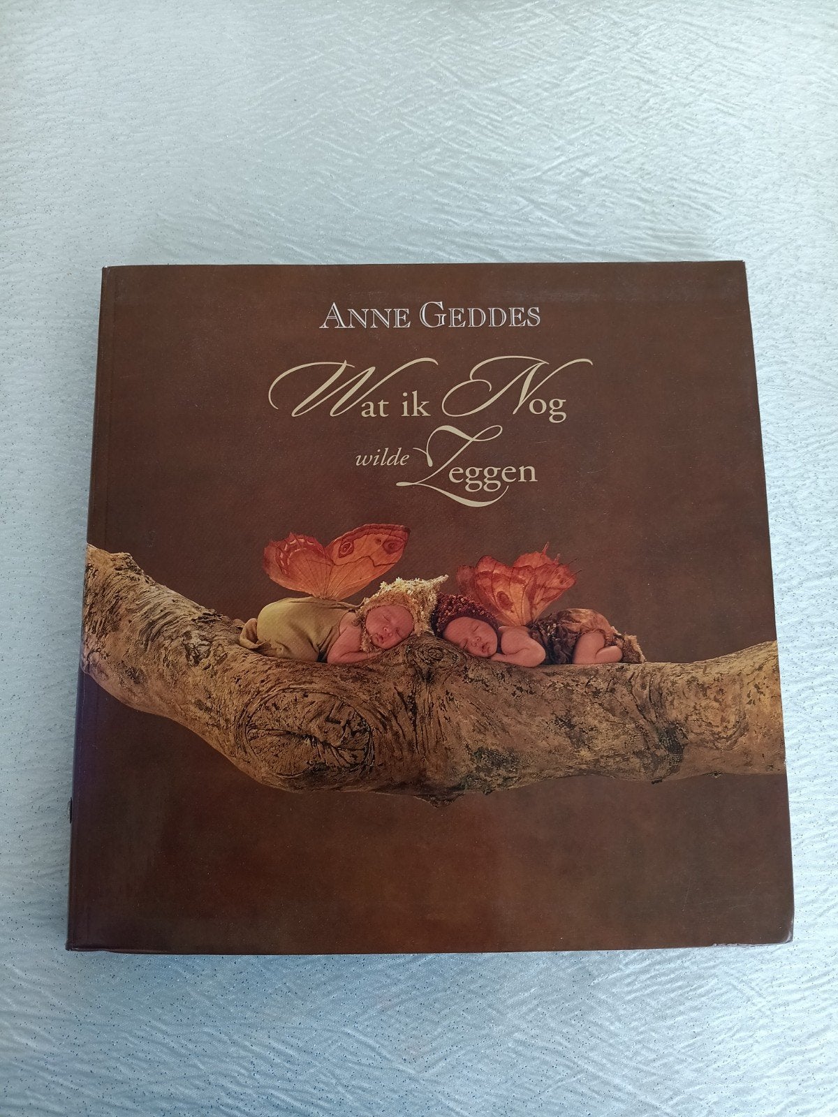 boek Anne Geddes, Livres, Enlèvement ou Envoi, Comme neuf