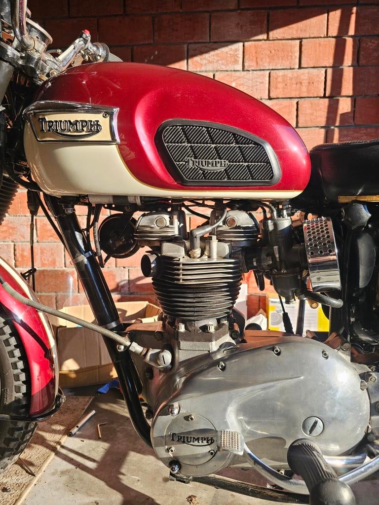 TRIUMPH TR6R 1968