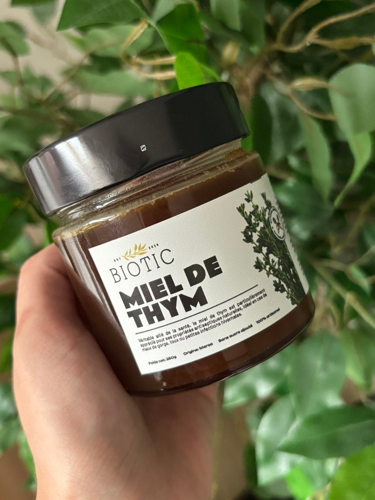 Miel de Thym du Maroc, Divers, Produits alimentaires, Enlèvement ou Envoi