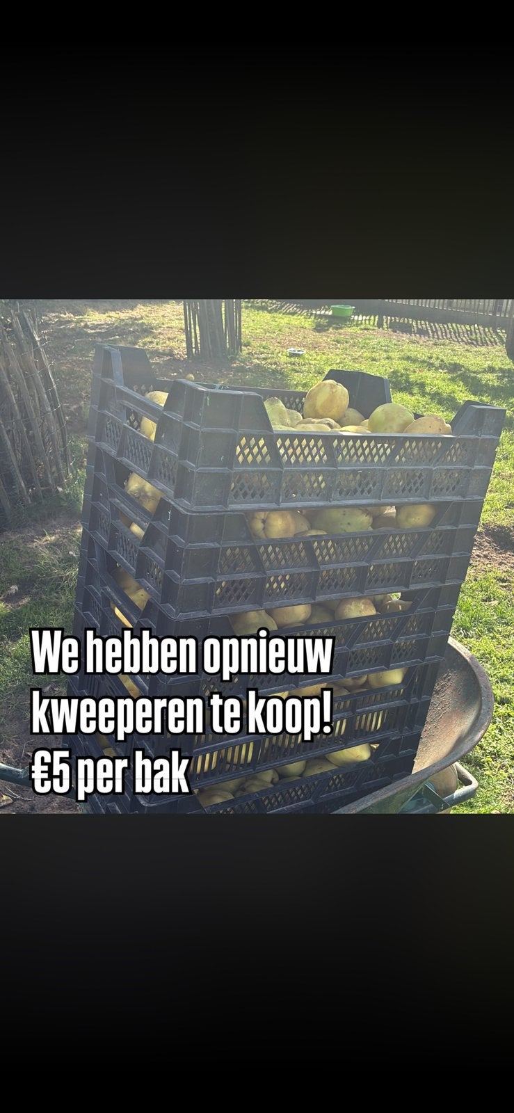 Kweeperen te koop, Tickets en Kaartjes