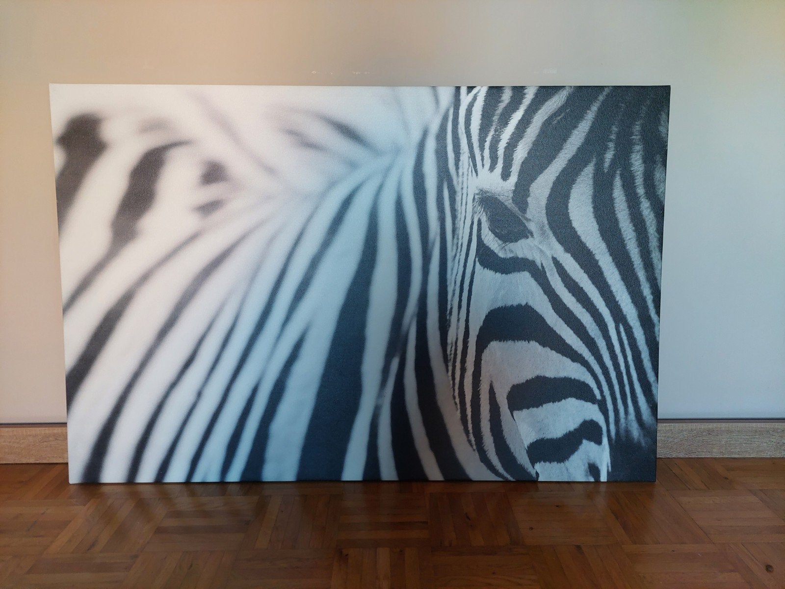 Canvas Zebra Ikea (78 cm - 117 cm), Enlèvement