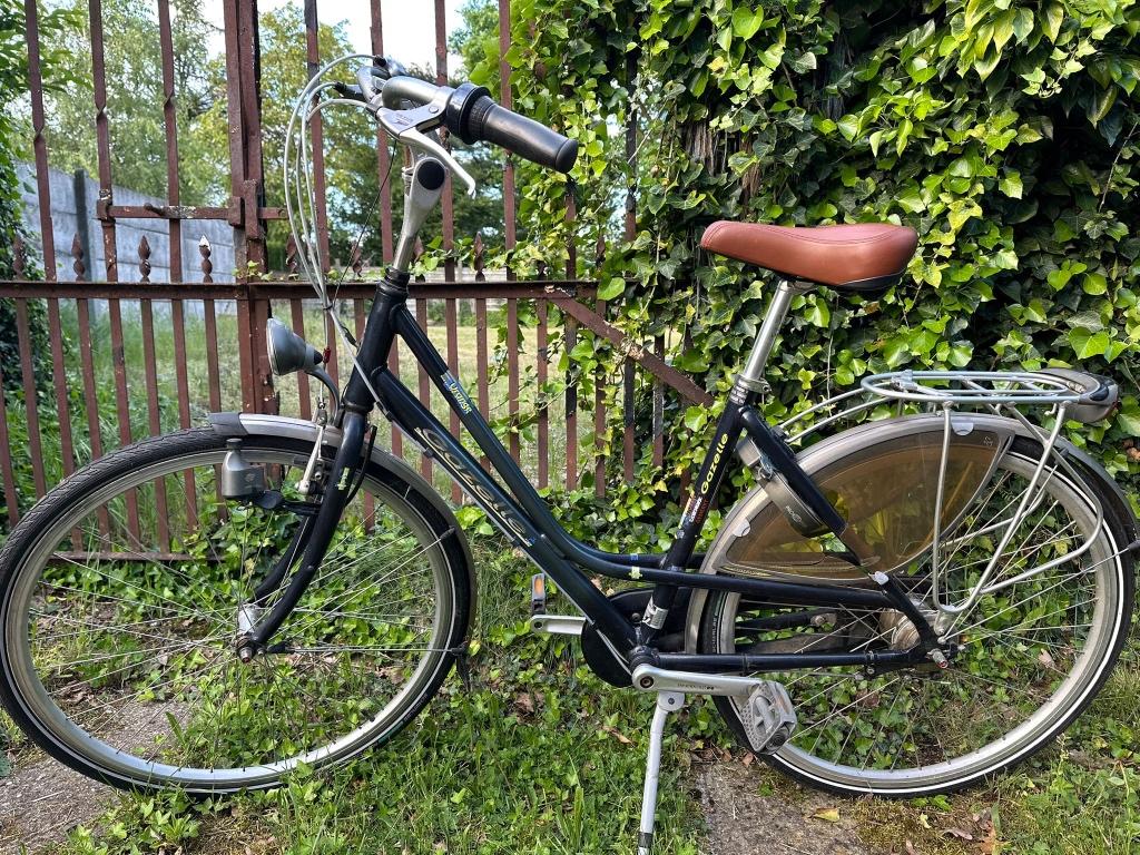Gazelle damesfiets, Ophalen, Gebruikt, Velgrem, 47 tot 50 cm