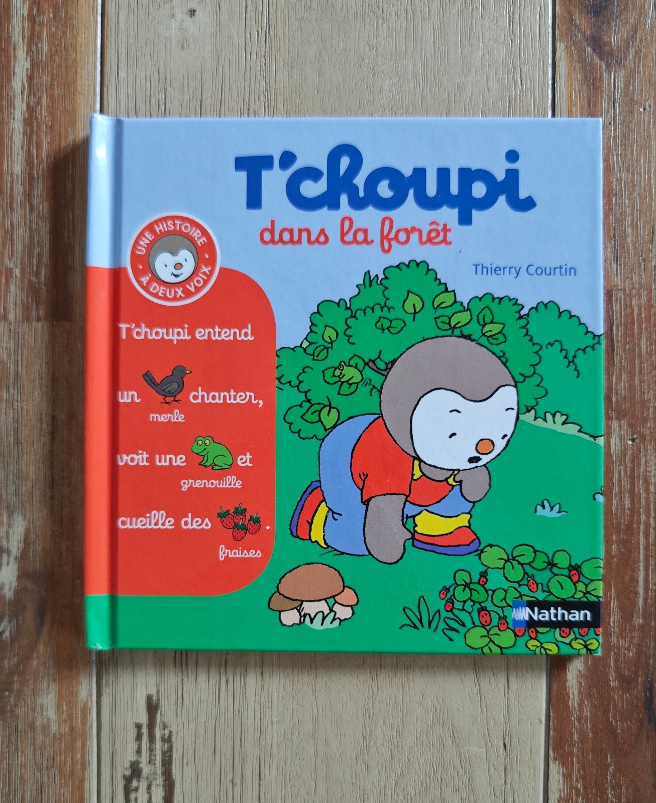 T'choupi dans la forêt, Livres, Enlèvement ou Envoi