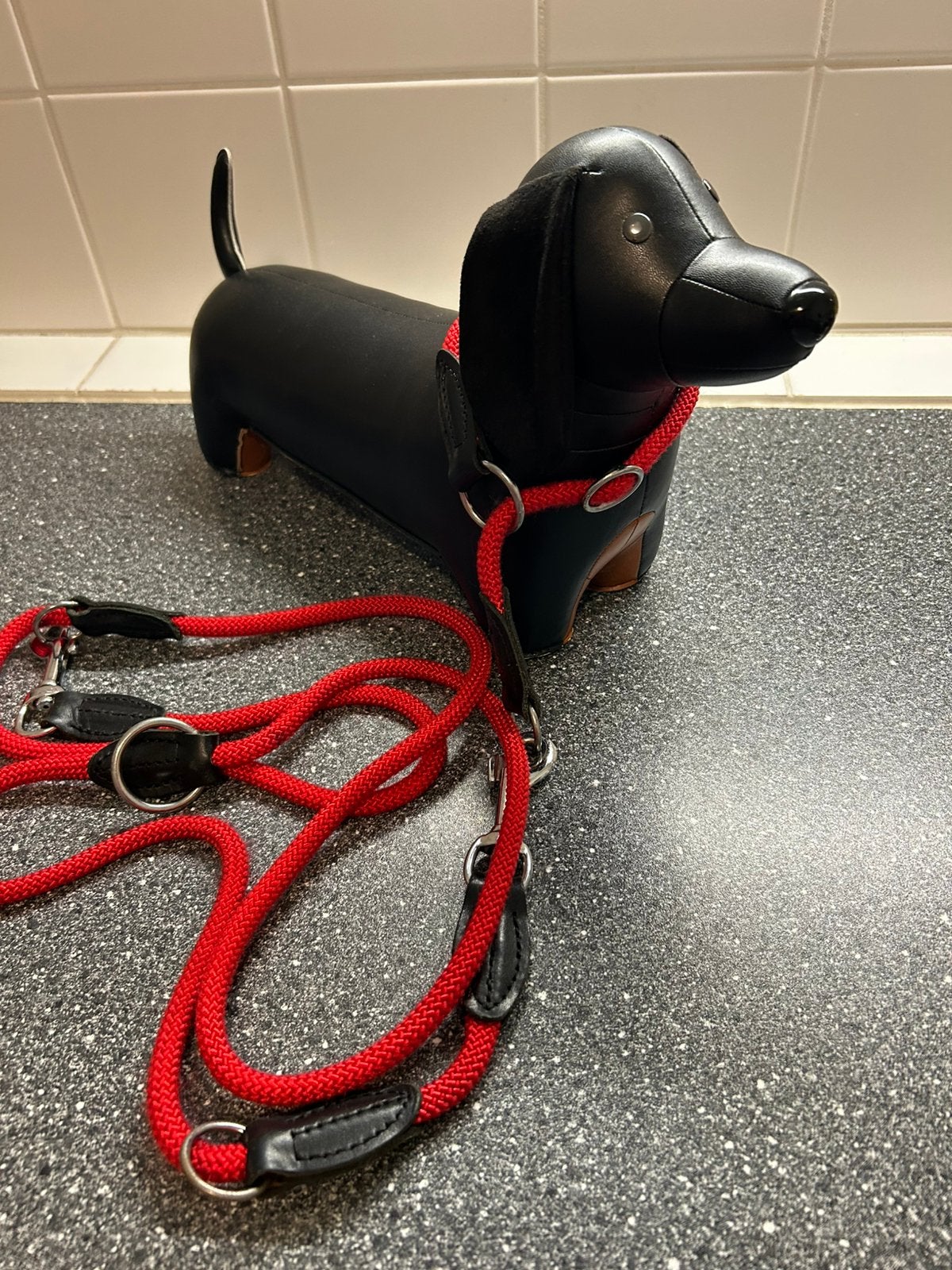 2 hondenriemen met halsband, Dieren en Toebehoren, Hondenriemen, Ophalen, Zo goed als nieuw, Hondenriem