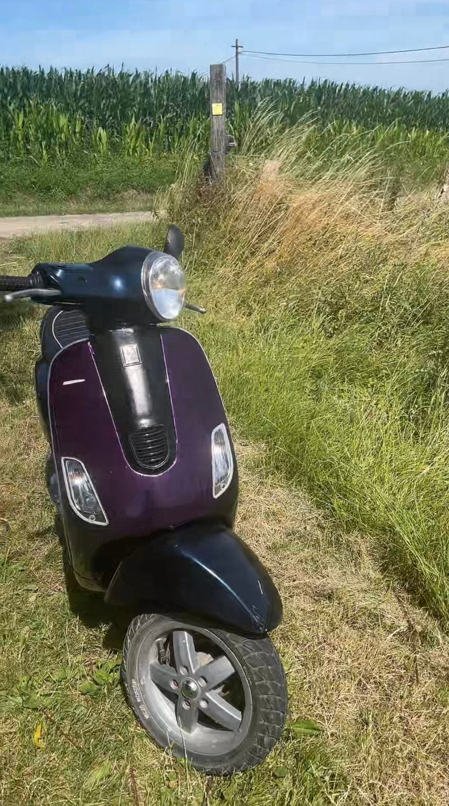 Vespa lx50, Comme neuf, Enlèvement, Deux-temps, Classe A (25 km/h)