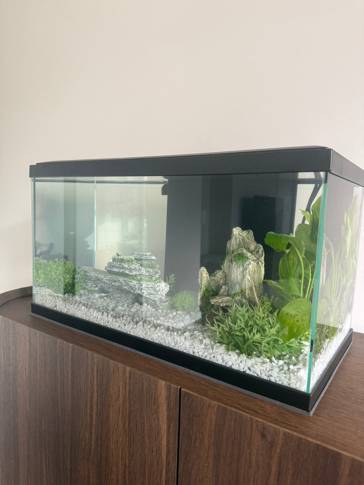 Nieuw aquarium 58L met volledige inrichting, Dieren en Toebehoren, Ophalen, Nieuw, Overige merken, Leeg aquarium