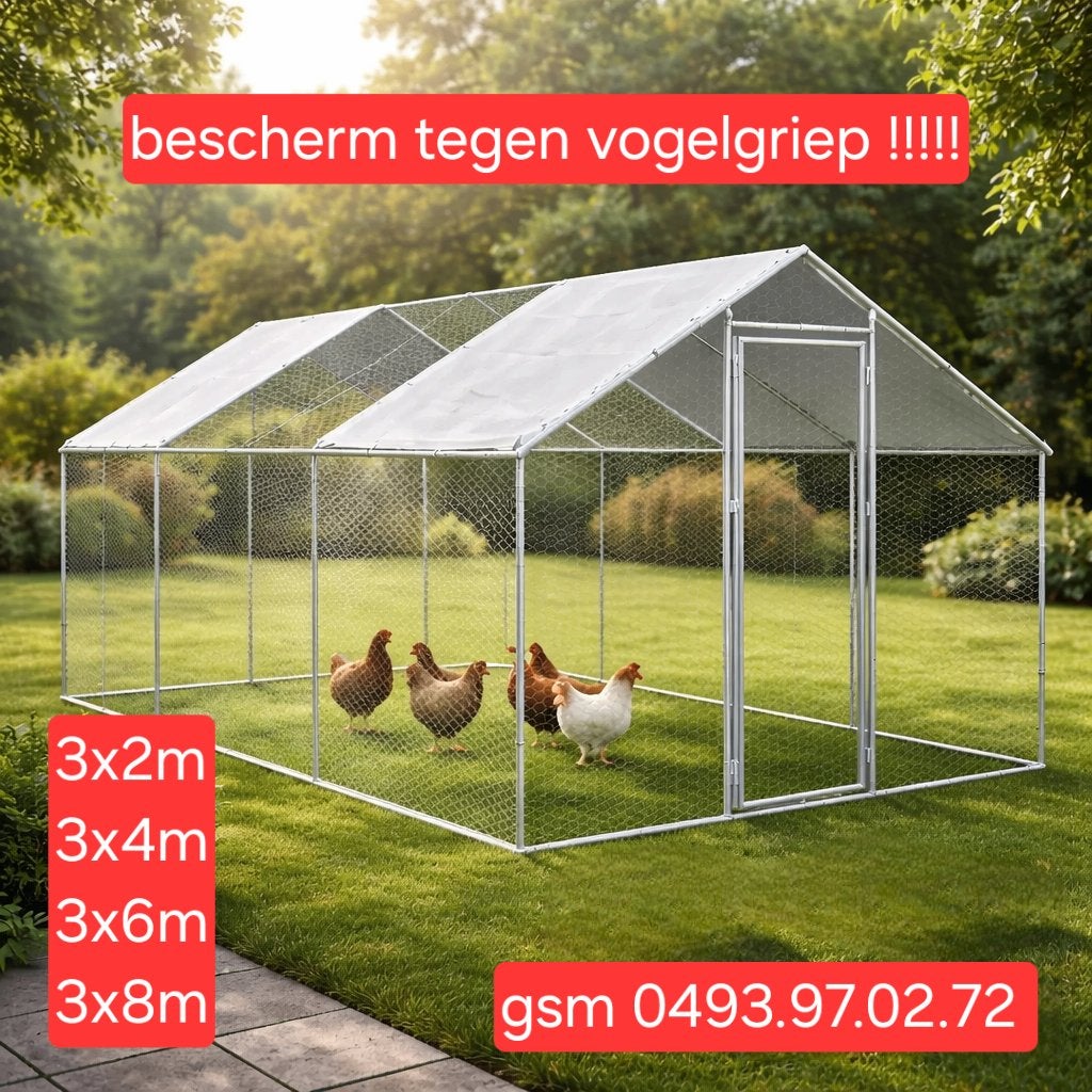 kippenren in verschillende maten BESCHERM TEGEN GOGELGRIEP !, Dieren en Toebehoren, Ophalen, Nieuw