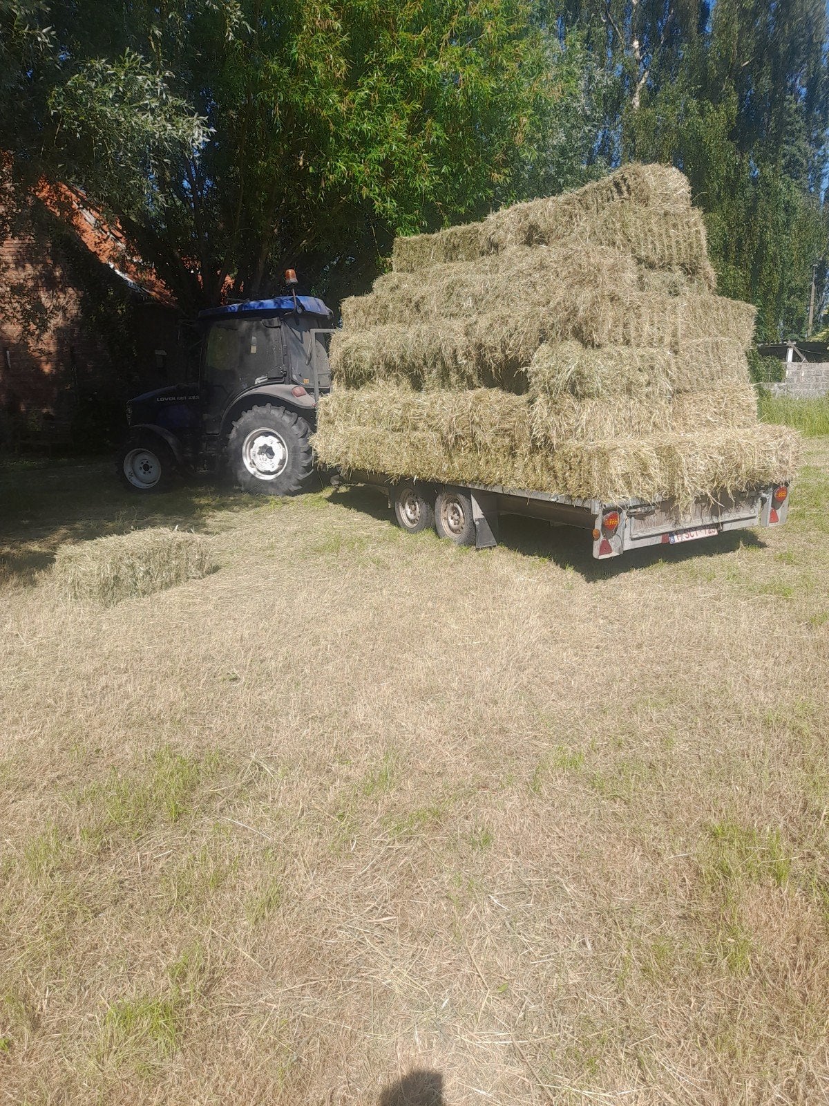 Hooi baaltjes, Ophalen