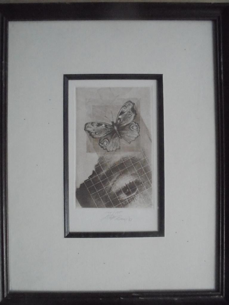 Walter Brems  Ets  Oog + Vlinder, Antiquités & Art, Art | Eaux-fortes & Gravures, Envoi