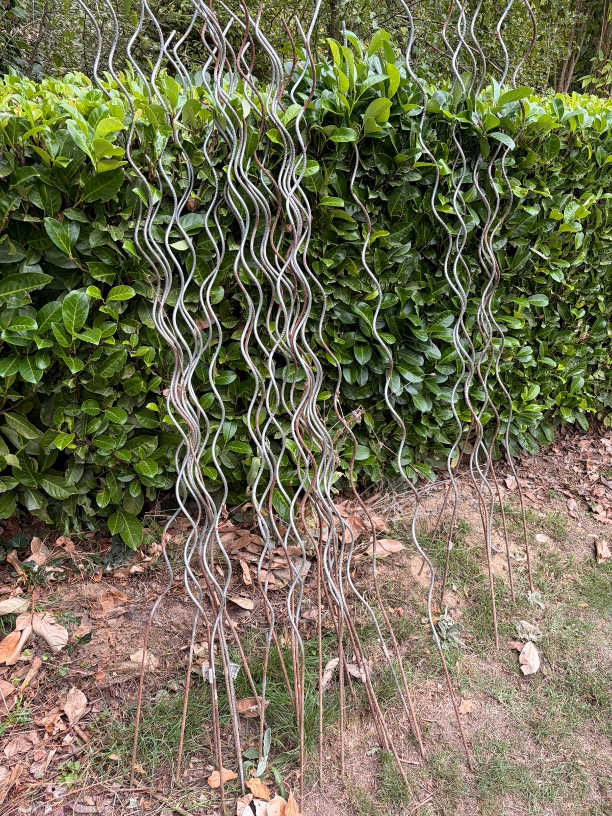 Tuteur tomates, Enlèvement, Arbuste