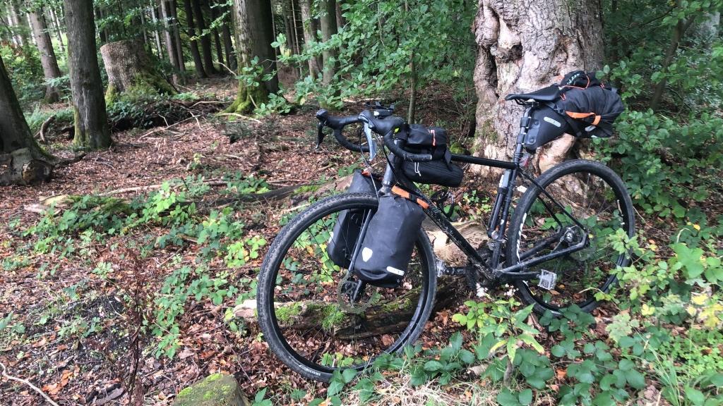Specialized Sequoia – Vélo Gravel / Aventure – Taille 56, Fietsen en Brommers, 53 tot 57 cm, Ophalen, Gebruikt, Staal