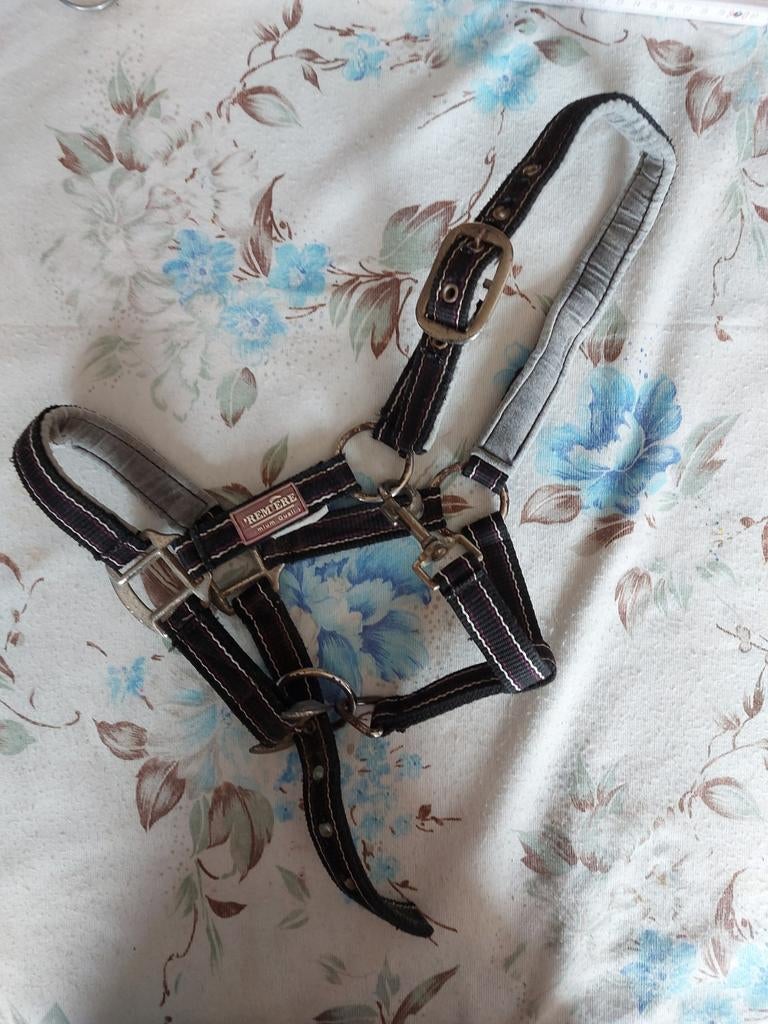 Licol shetland, Animaux & Accessoires, Enlèvement ou Envoi