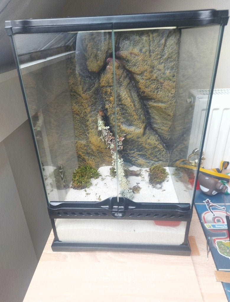 Exo terra terrarium, Dieren en Toebehoren, Ophalen, Zo goed als nieuw, Terrarium of Paludarium
