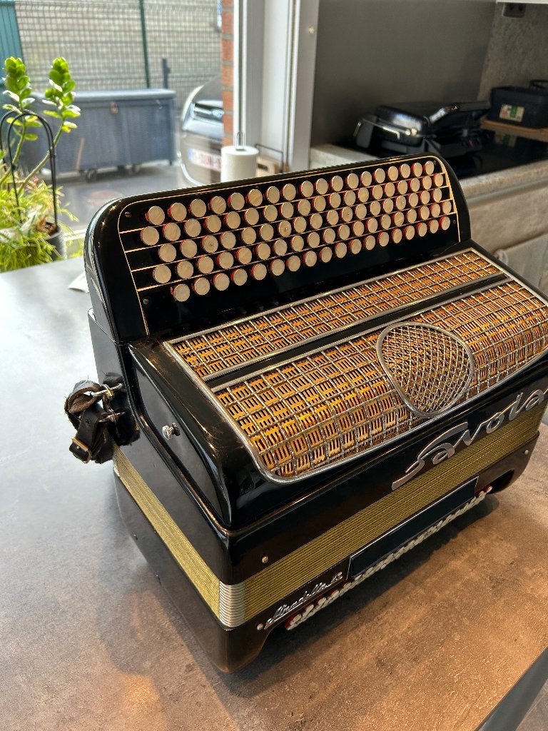 Accordeon, Musique & Instruments, Accordéons, Autres marques, Enlèvement, Utilisé, Avec bretelles