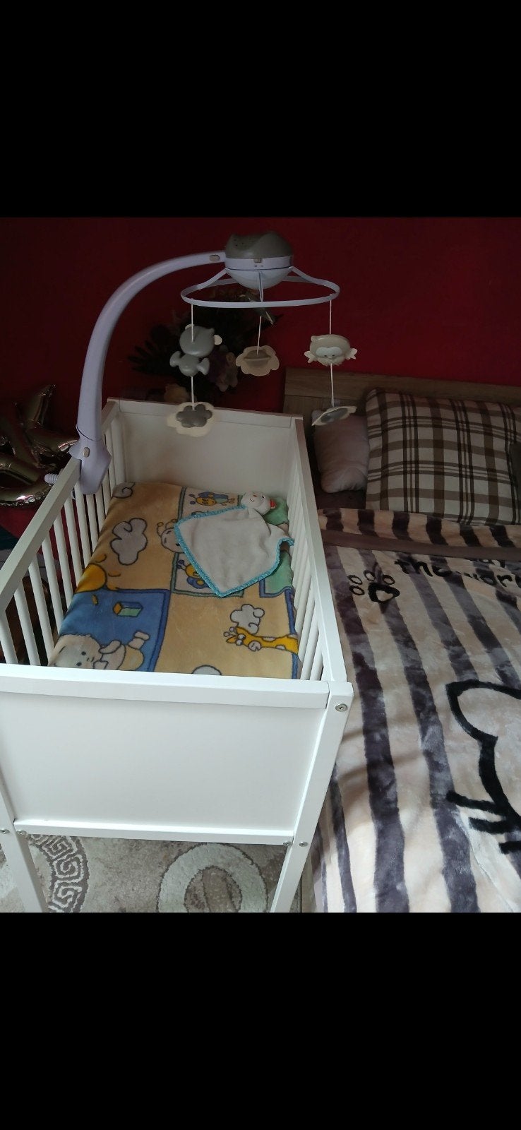 Baby bed, Enlèvement