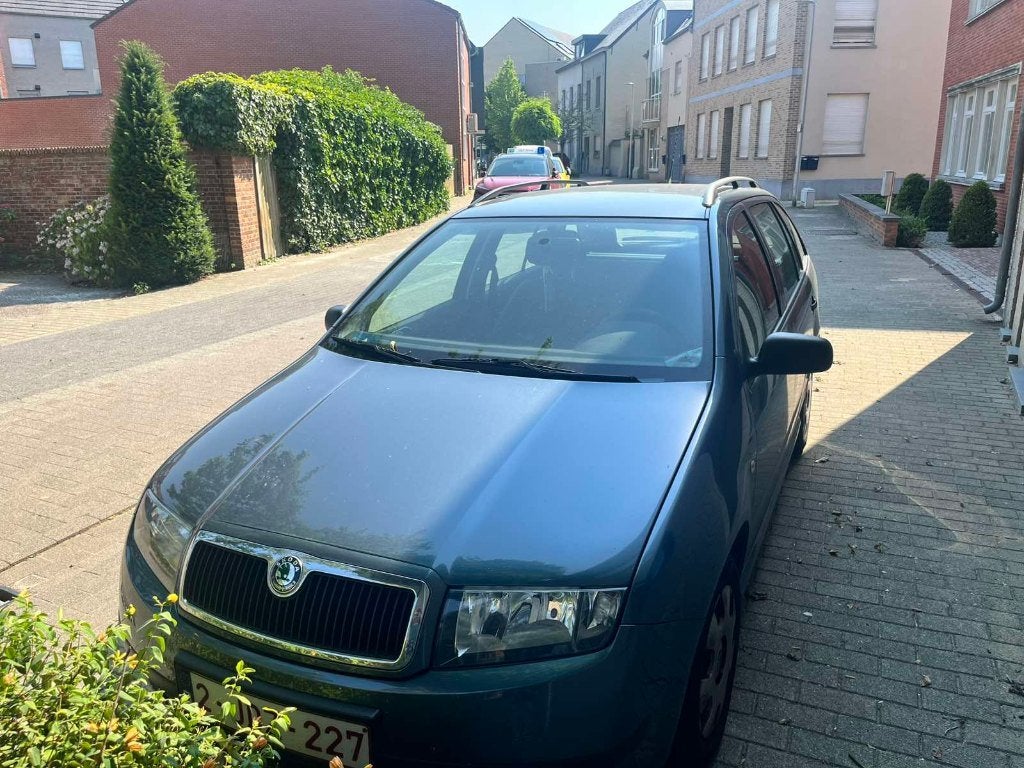 Gare Skoda Fabia, Autos, Skoda, Argent ou Gris, Achat, Entreprise, Autre carrosserie