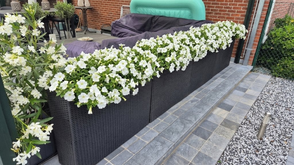 4 plantenbakken antraciet grijs 'Tarrington House', Ophalen, Overige materialen, Gebruikt, Balkon
