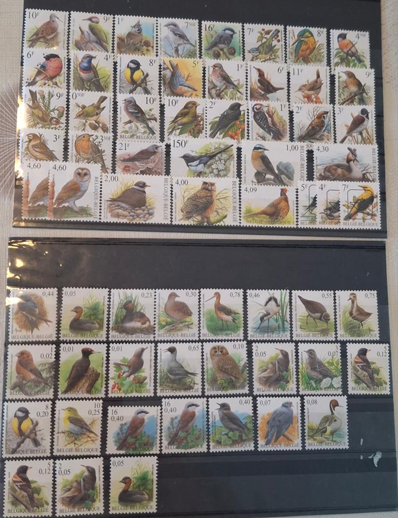 België lot buzin **( frank & euro)  postwaarde 40 euro, Ophalen of Verzenden