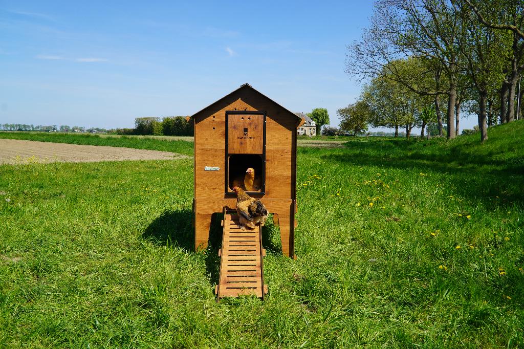Trespa Kippenhok Cucciolotta Classic XL | Op Pootjes, Ophalen of Verzenden