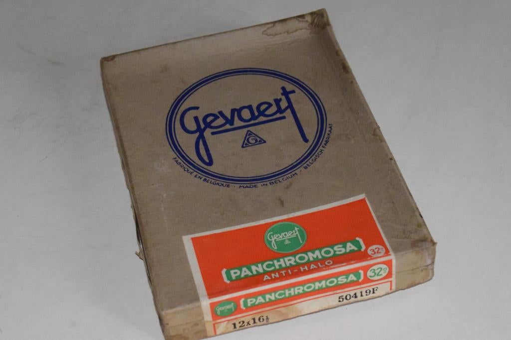 Négatifs sur verre Gevaert Panchromosa, TV, Hi-fi & Vidéo, Appareils photo analogiques, Utilisé, Autres Marques, Enlèvement ou Envoi