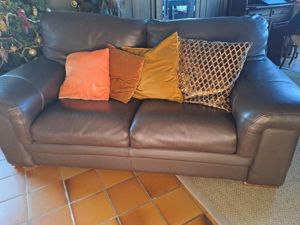 Joli fauteuil 2 places en cuir robuste, marron, Enlèvement, Comme neuf