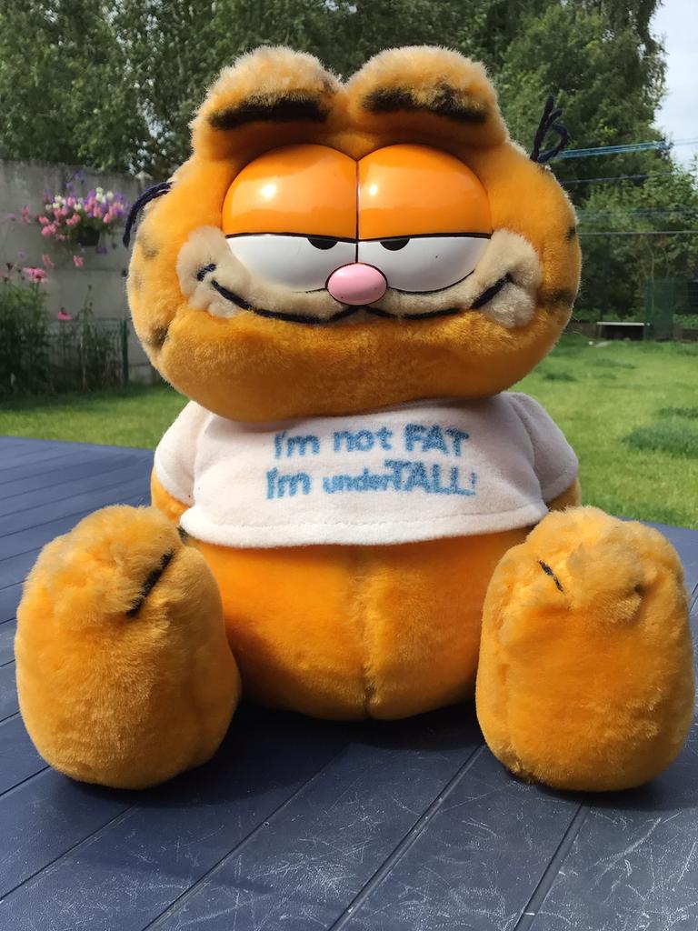Garfield met t-shirt “I’m not fat, I’m undertall” en embleem, Collections, Enlèvement, Garfield, Comme neuf, Autres types