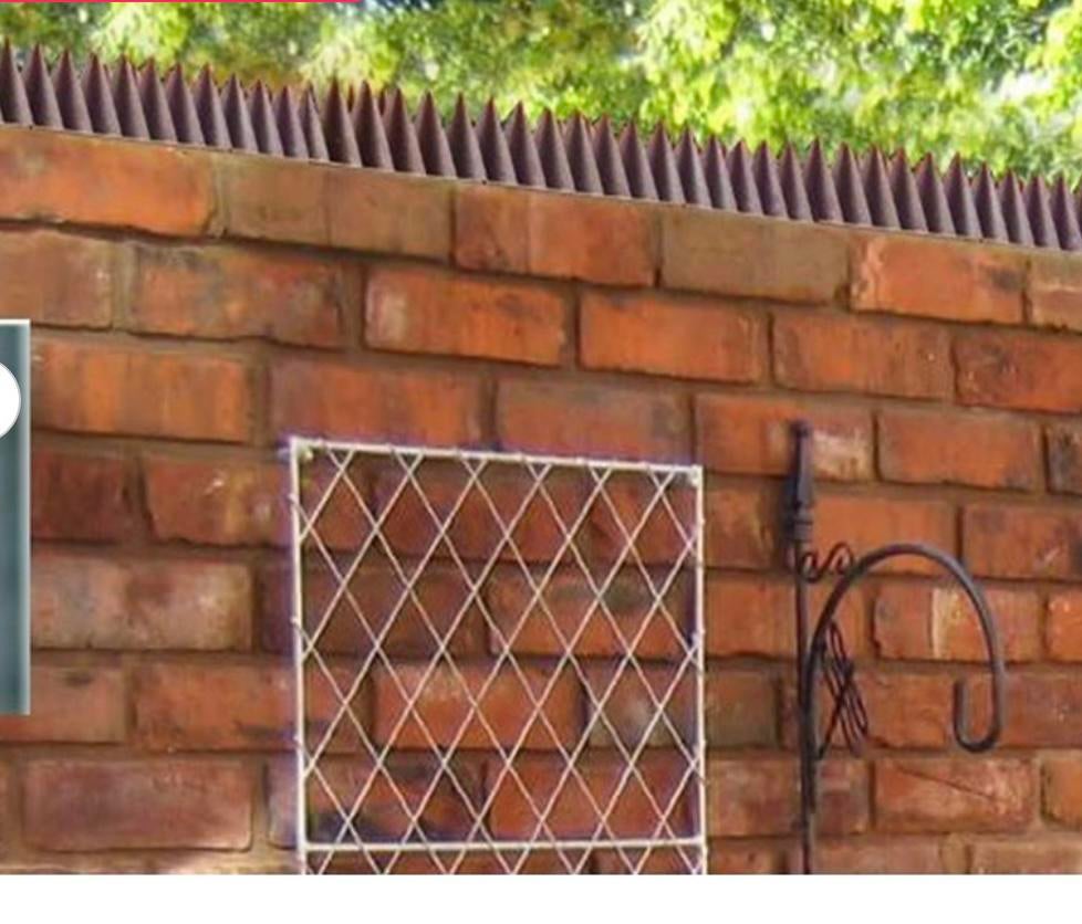 Anti klim strips, Tuin en Terras, Ophalen of Verzenden, Nieuw