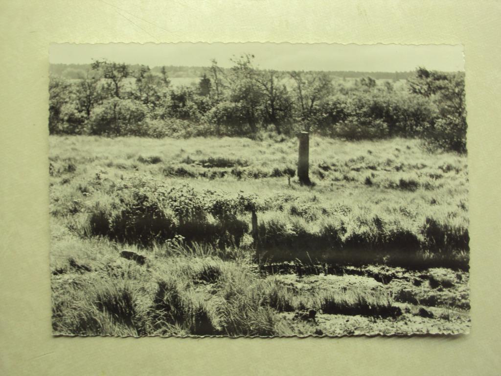 48566 - HAUTES-FAGNES, Enlèvement ou Envoi