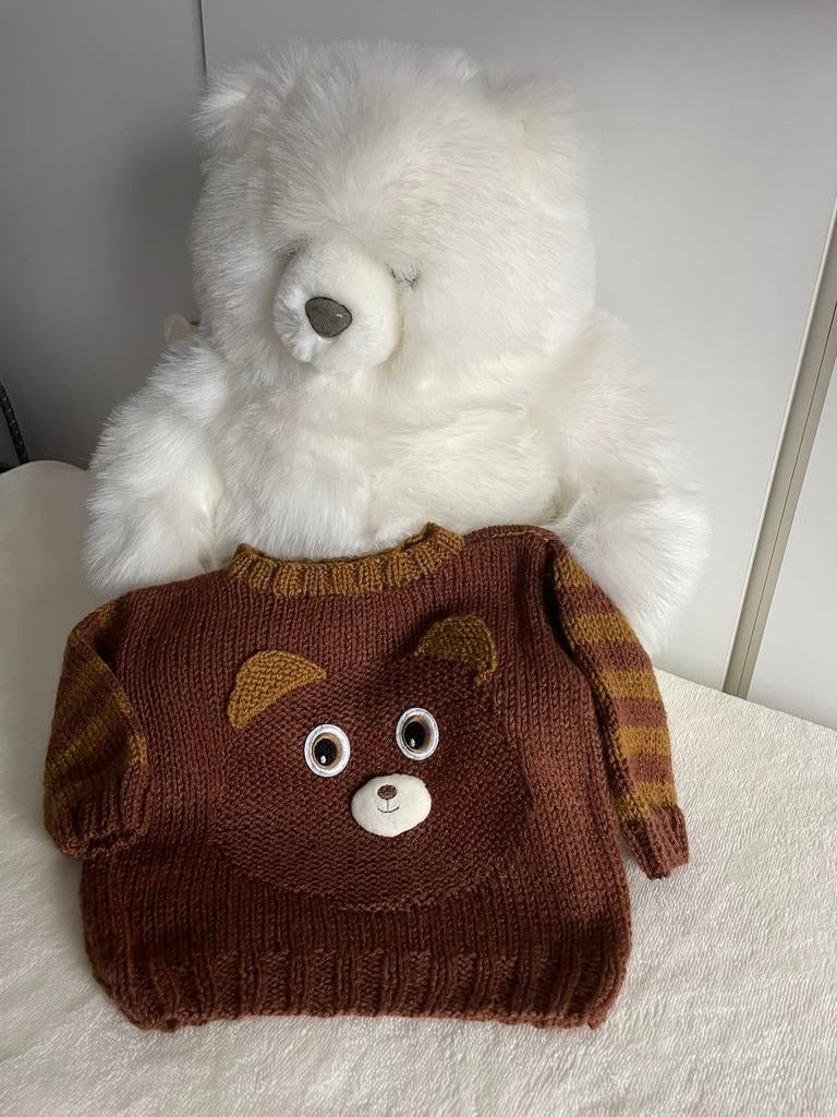 Trui van wol, Kinderen en Baby's, Ophalen of Verzenden, Nieuw, Jongetje of Meisje, Truitje of Vestje