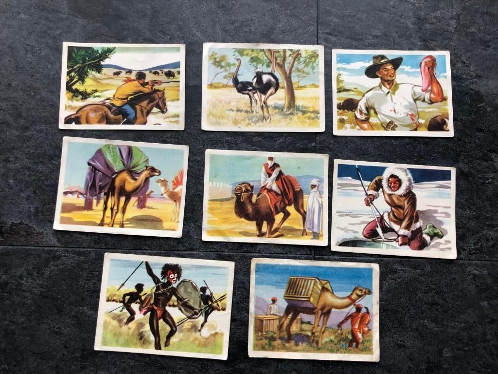 8 estampes de chocolat Martougin - Wildlife hunters, Collections, Enlèvement ou Envoi