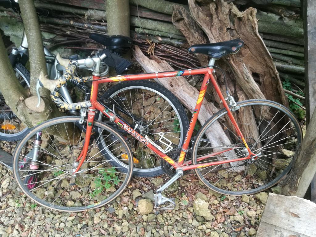 Colnago vintage, Vélos & Vélomoteurs, Enlèvement, Comme neuf, Hommes, Autres marques