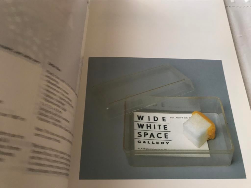 Panamarenko De Multiples 130pag, Ophalen of Verzenden, Zo goed als nieuw, Beeldhouwkunst