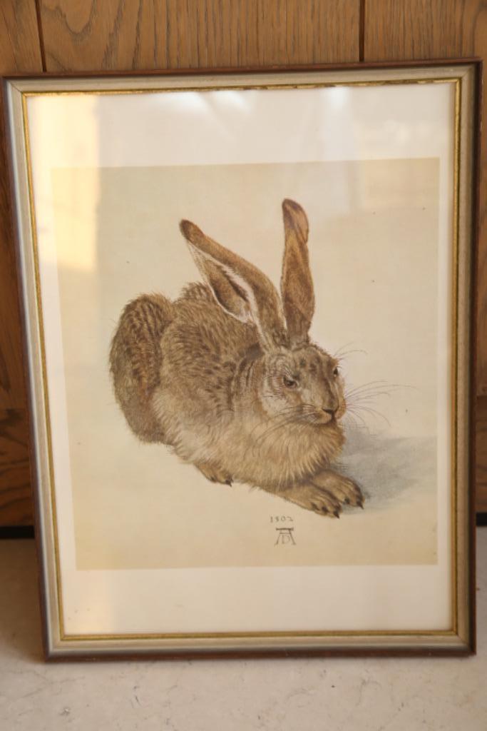 "Jonge Haas" van Albrecht Dürer met kader, Antiek en Kunst, Ophalen of Verzenden