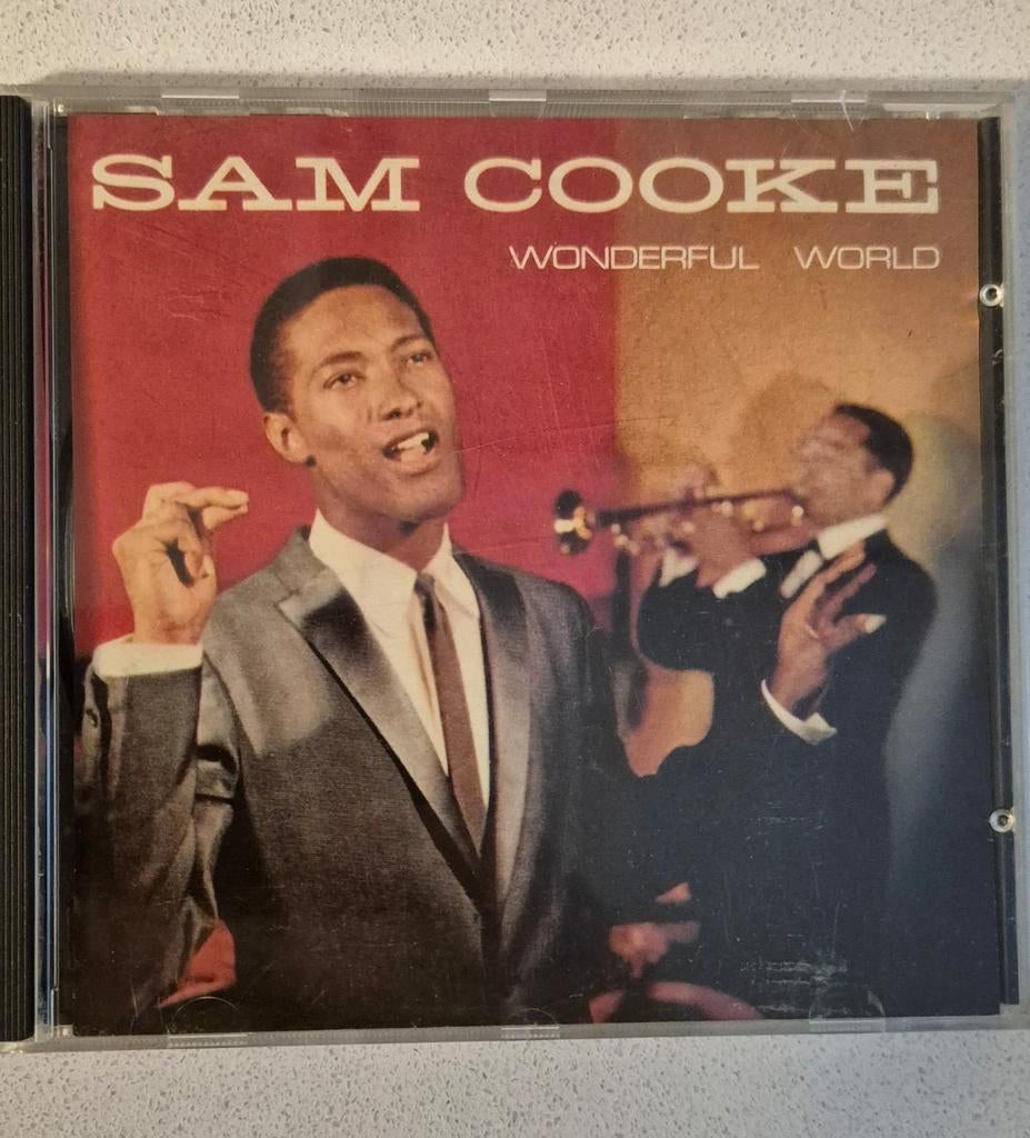 Le monde merveilleux de Sam Cook, Enlèvement