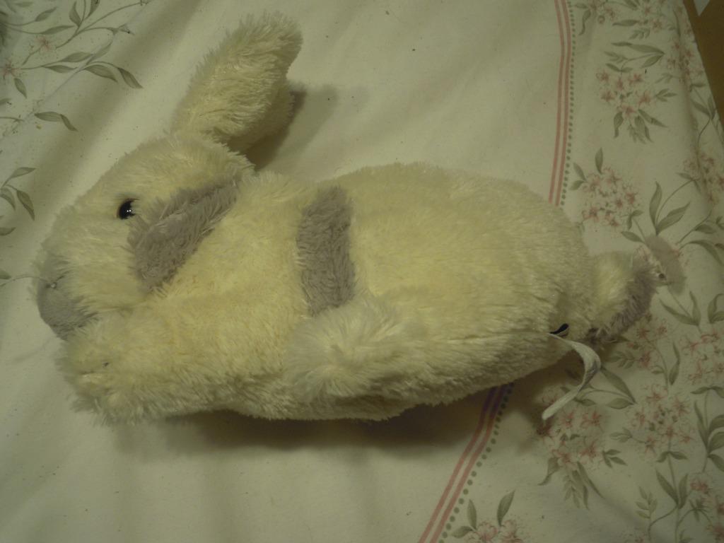 knuffel folieke  konijn (doos 16), Ophalen of Verzenden, Nieuw, Konijn