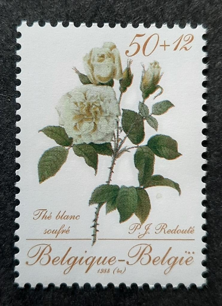 Belgique : COB 2282 ** Promotion de la philatélie I 1988., Sans timbre, Neuf, Enlèvement ou Envoi, Non oblitéré